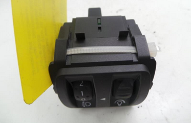 Renault Clio III BJ: 2006 Schalter Leuchtweitenregler/Dimmer Tachobeleuchtung 8200095495B DELPHI